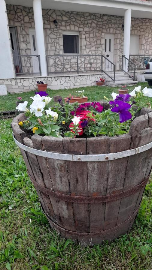 Appartement Kamena Kuca Family Rodin à Čapljina Extérieur photo