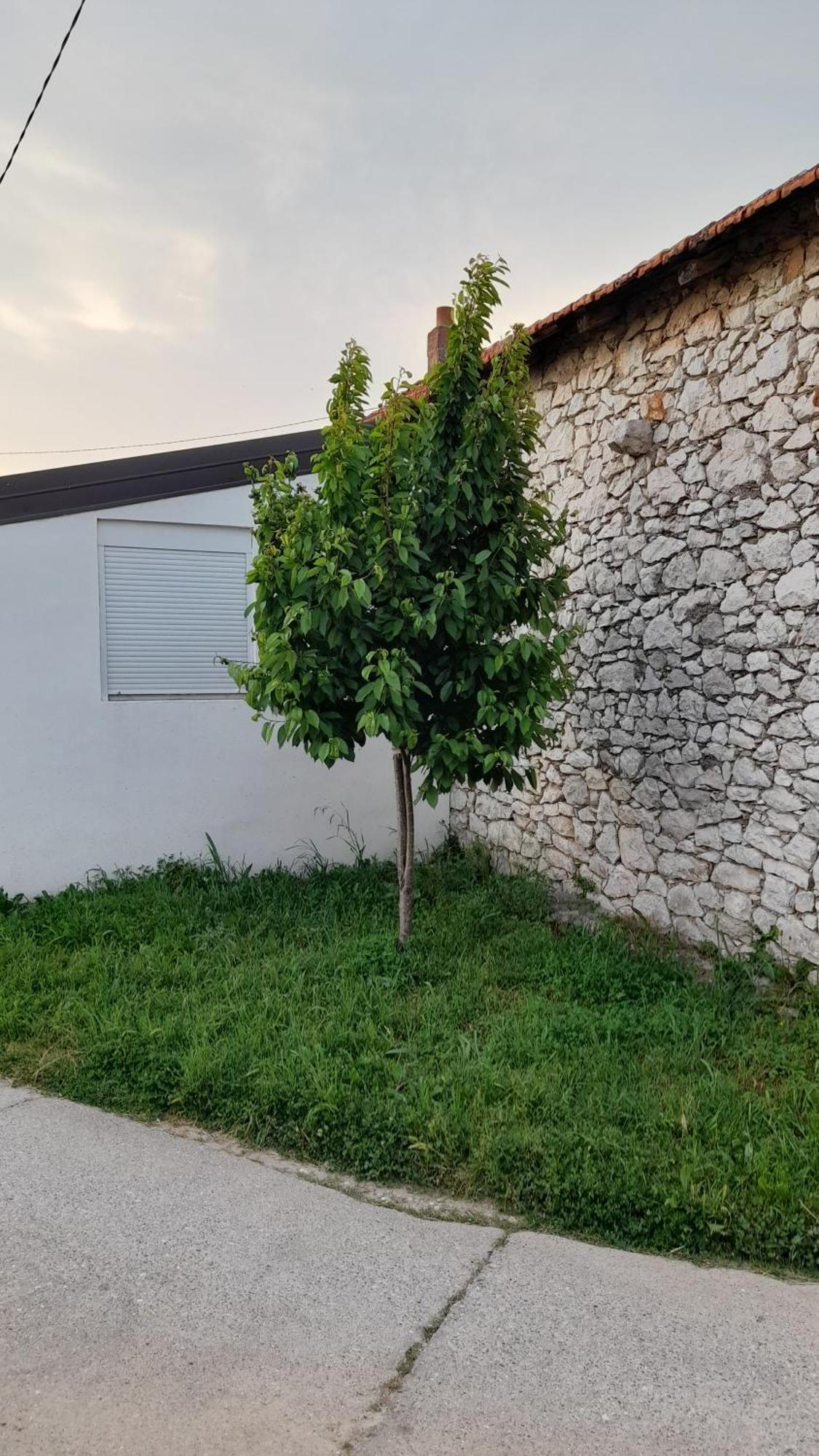 Appartement Kamena Kuca Family Rodin à Čapljina Extérieur photo