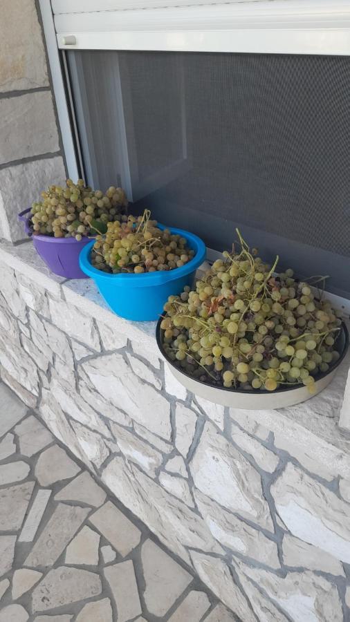 Appartement Kamena Kuca Family Rodin à Čapljina Extérieur photo